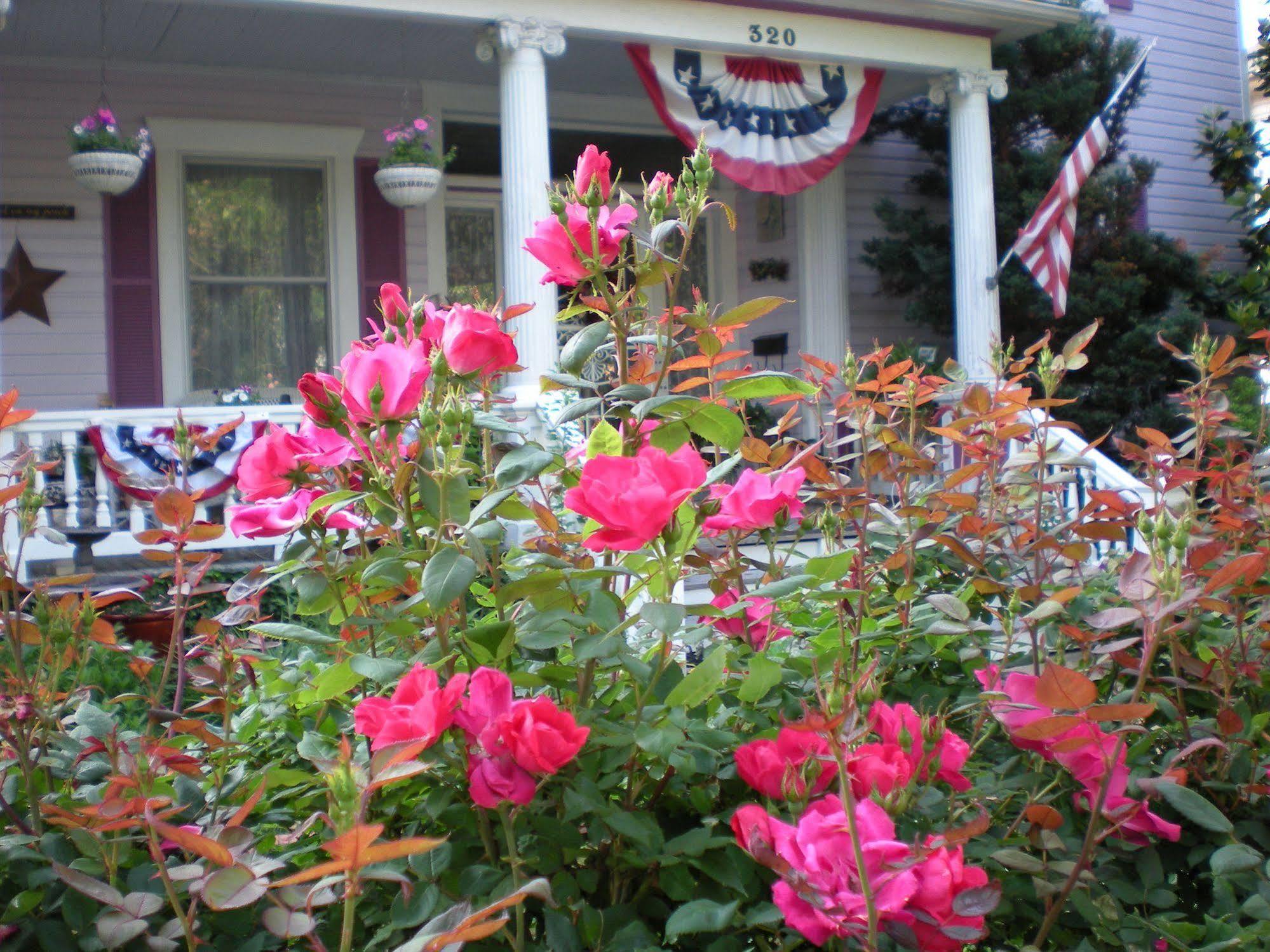 Belle Hearth Bed And Breakfast Waynesboro Εξωτερικό φωτογραφία
